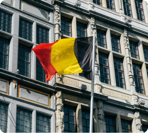 Identify Visa Pathway Type & Qualification